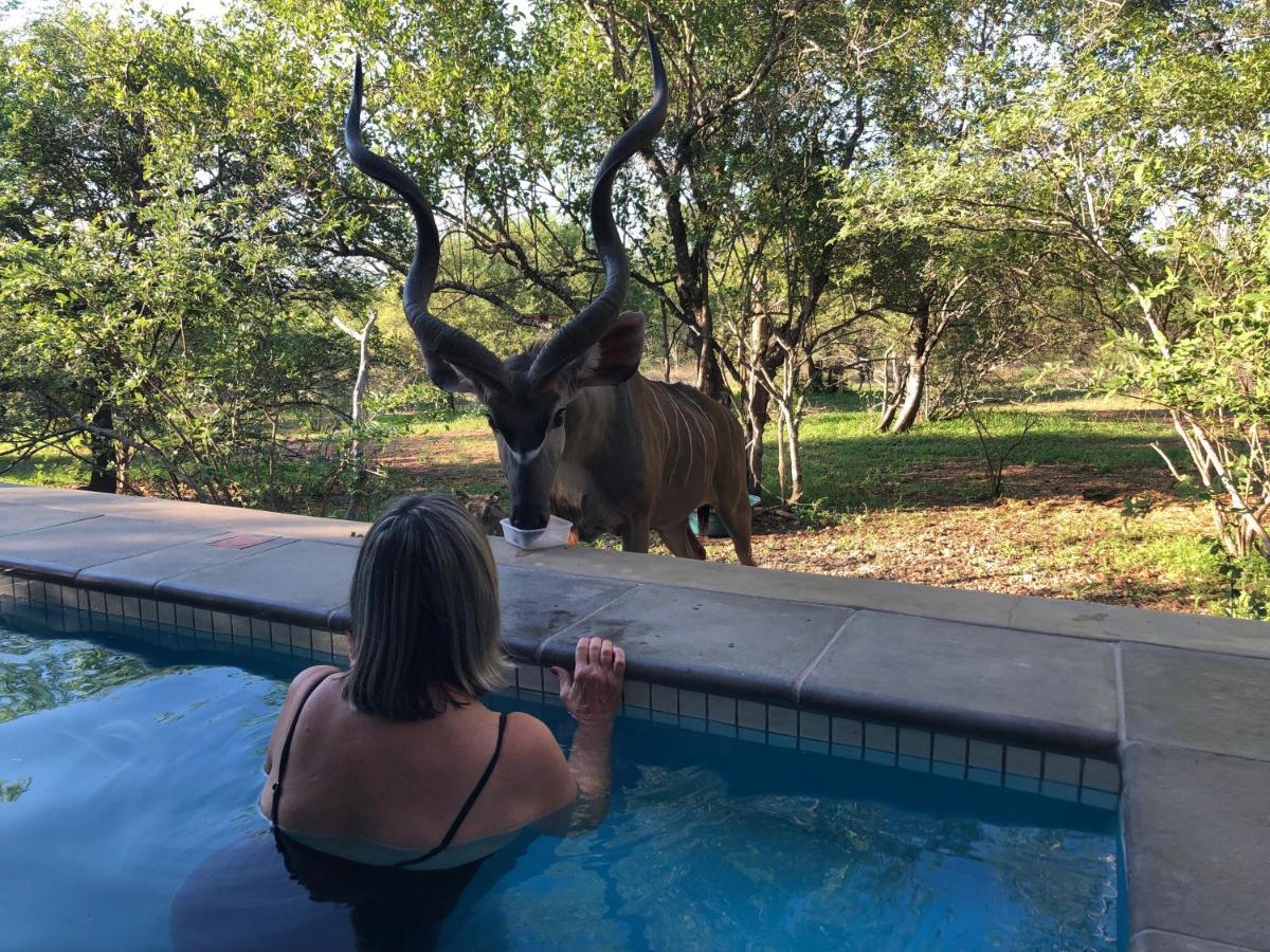 Kruger Willows Holiday home